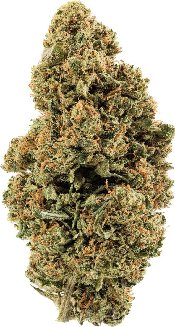 Jack Herer CBD