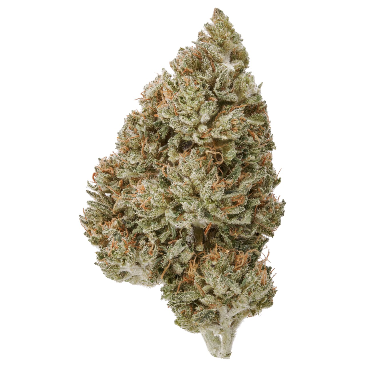 White Rhino CBD