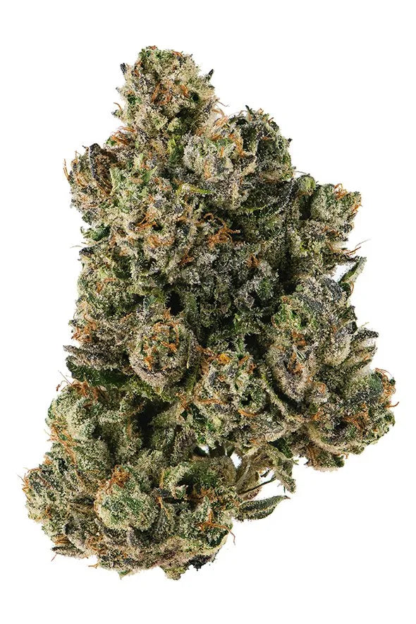 Amnesia Haze CBD