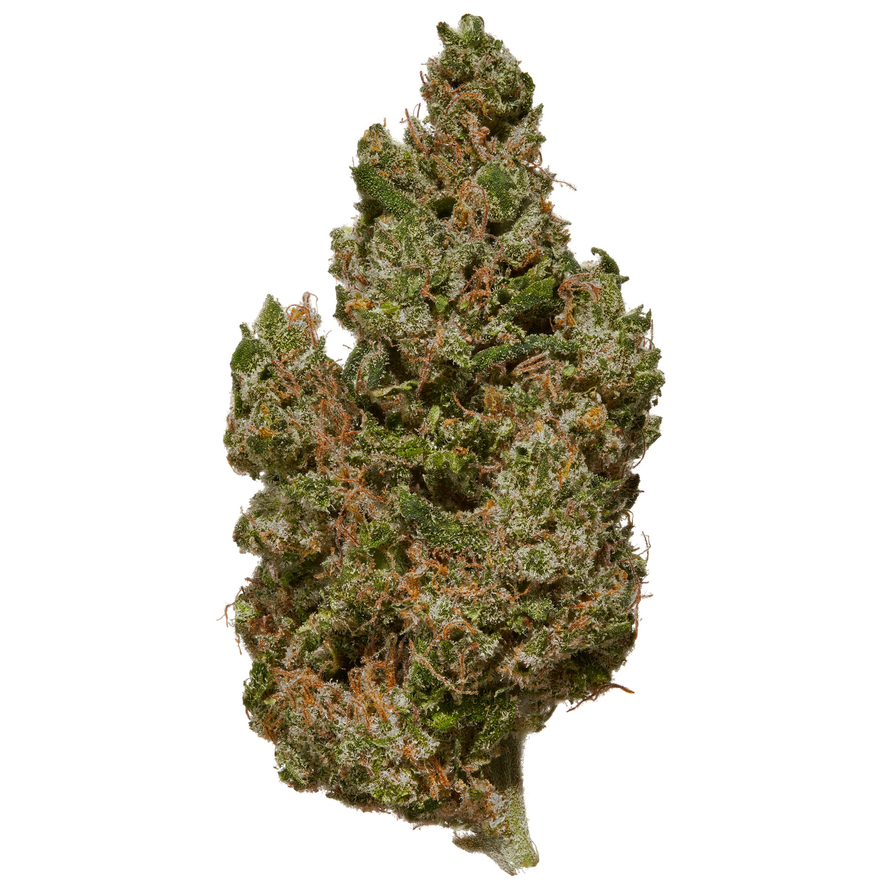 Girl Scout Cookies CBD